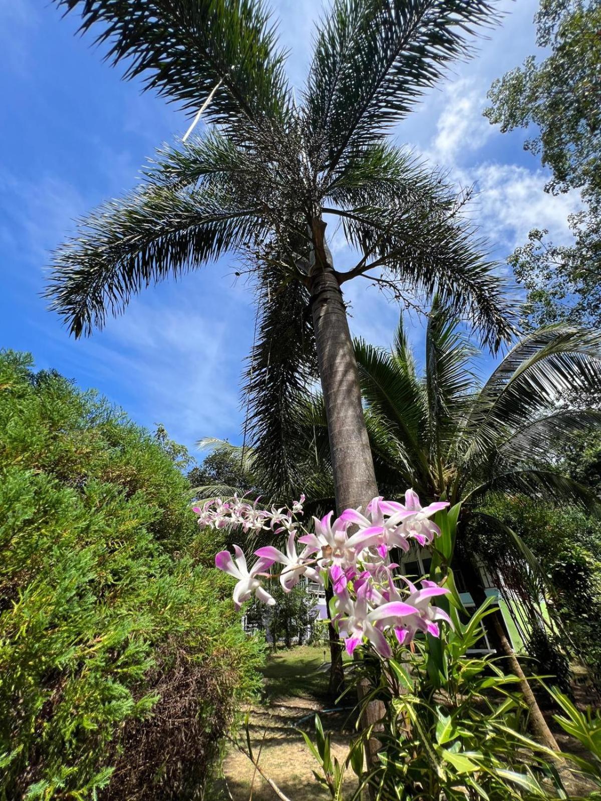 Hotel Janzo House Ban Khlong Mat Zewnętrze zdjęcie